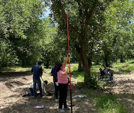 Team Investigates Climate Change Impact on Pecan Orchards