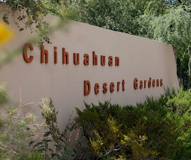 ‘Opening Reception for Chihuahuan Desert Gardens Exhibit