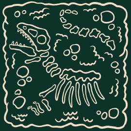 Bring Kids to View Fossils at Dino Day