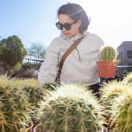 Stock Up on Seasonal Blooms at FloraFest
