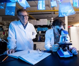 Study: Propensity to Addiction Starts from First Drug Use Experience
